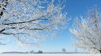 winterlandschaft